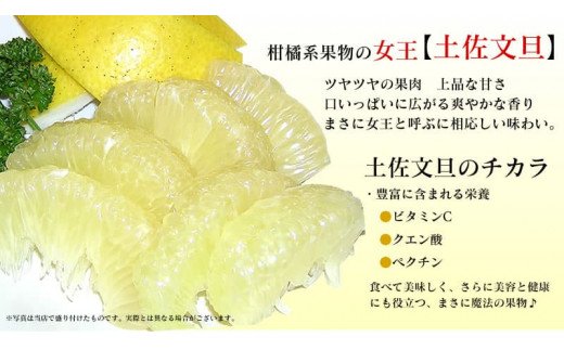先行予約】“高知県産”ワケあり土佐文旦（※シミ・キズあり）5kg・サイズ