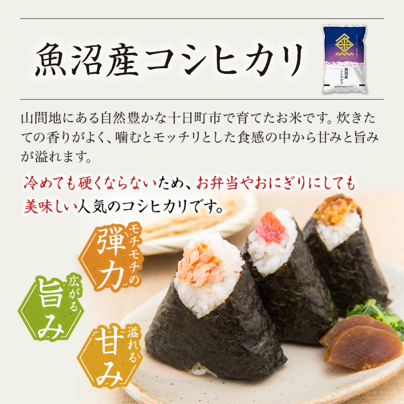 令和8年産 先行予約】【12ヶ月定期便】特別栽培米 魚沼産こしひかり