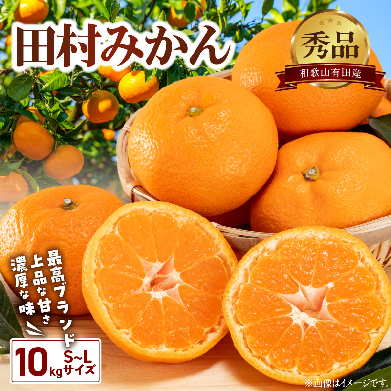 有田　田村のこだわり美味しみかん　10キロ贈答用Lサイズ　5ケース限定 楽天市場】田村みかん 有田みかん 約 3kg～10kg 和歌山県産 秀 有田