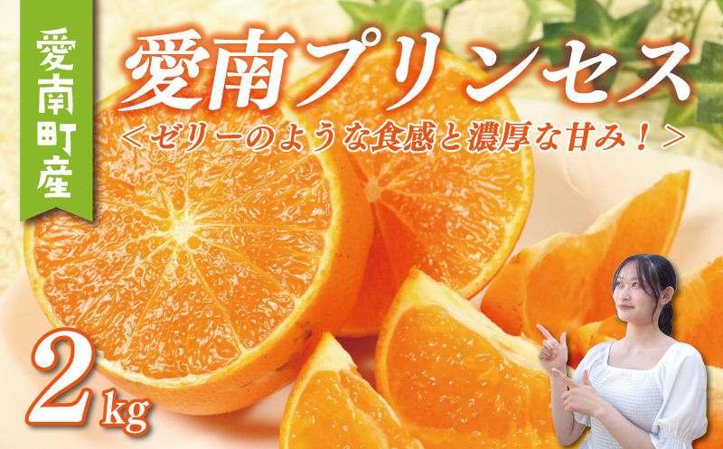愛南 プリンセス 2kg サイズミックス 15000円 みかん 愛果48号 ま