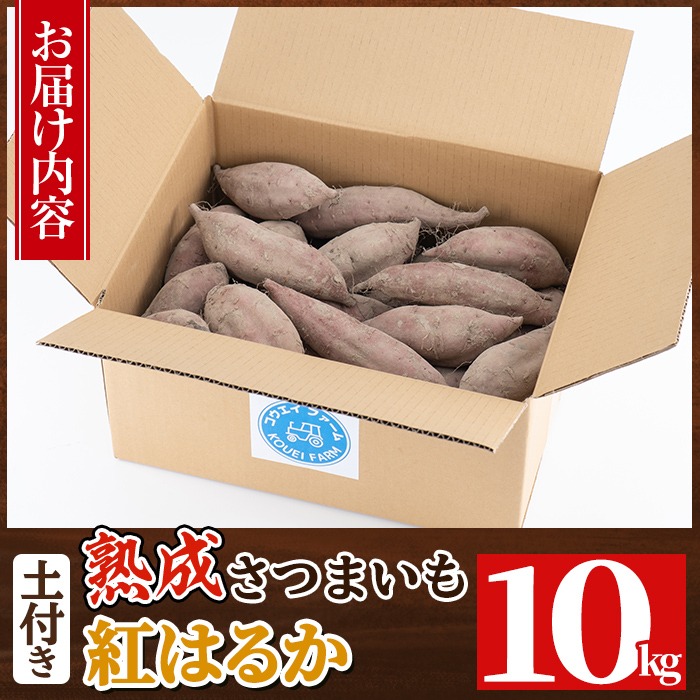 【専用】さつまいも 頴娃町産 さつまいも | 贈答用 2kg - 【かごしまぐるり】鹿児島の名物
