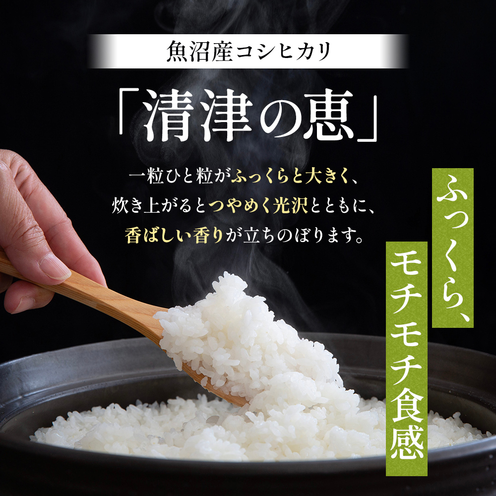 通年受付】令和7年産魚沼産特別栽培米コシヒカリ［清津の恵］精米10kg