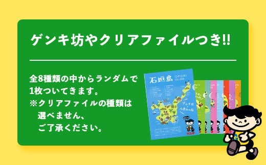 ふるさと納税限定】ゲンキクールバリューセット【八重山ゲンキ乳業