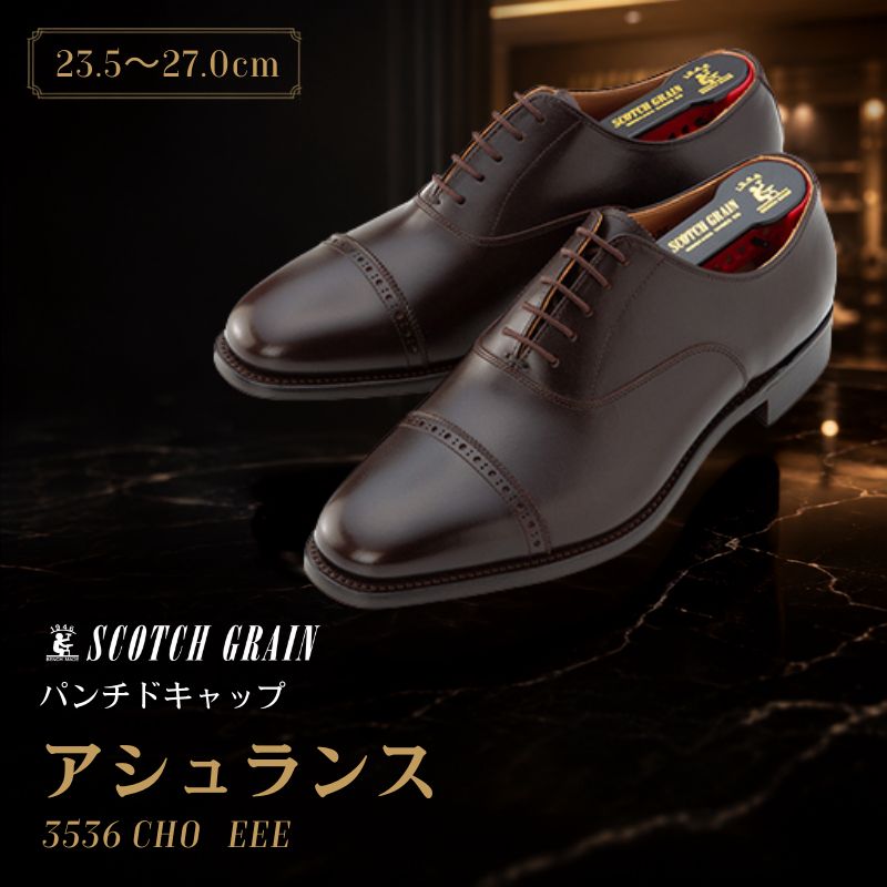 スコッチグレイン ビジネスシューズ メンズ アシュランス 3536CHO