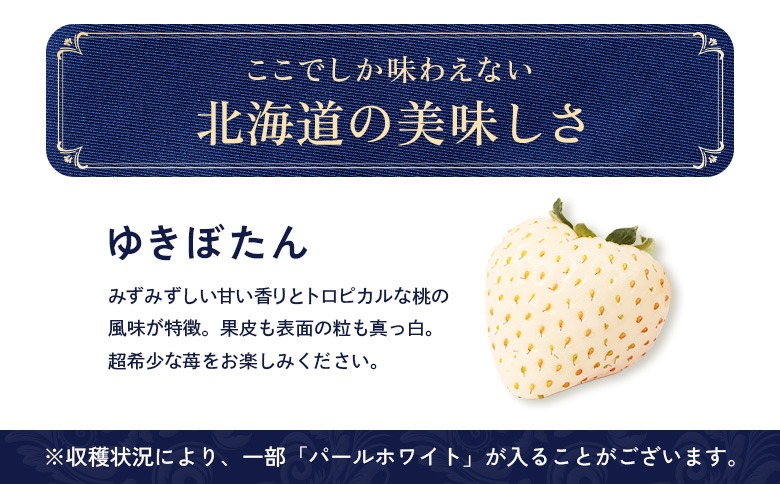11月以降、随時発送！】【北海道産】ゆきいちご（白いちご） 2P