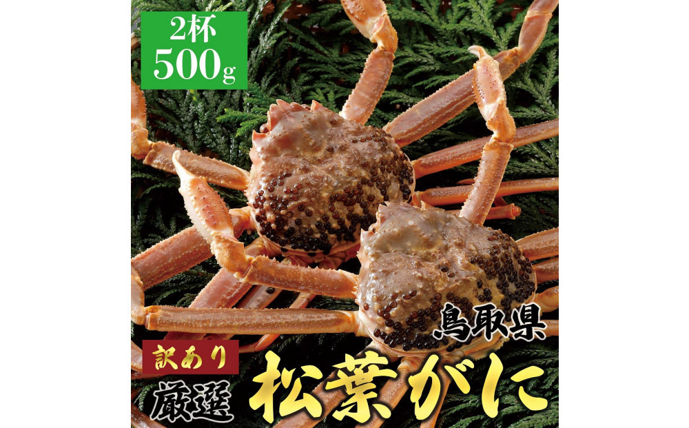 1057.＜2026年11月5日～30日発送＞特撰 松葉がに（なま）【訳あり