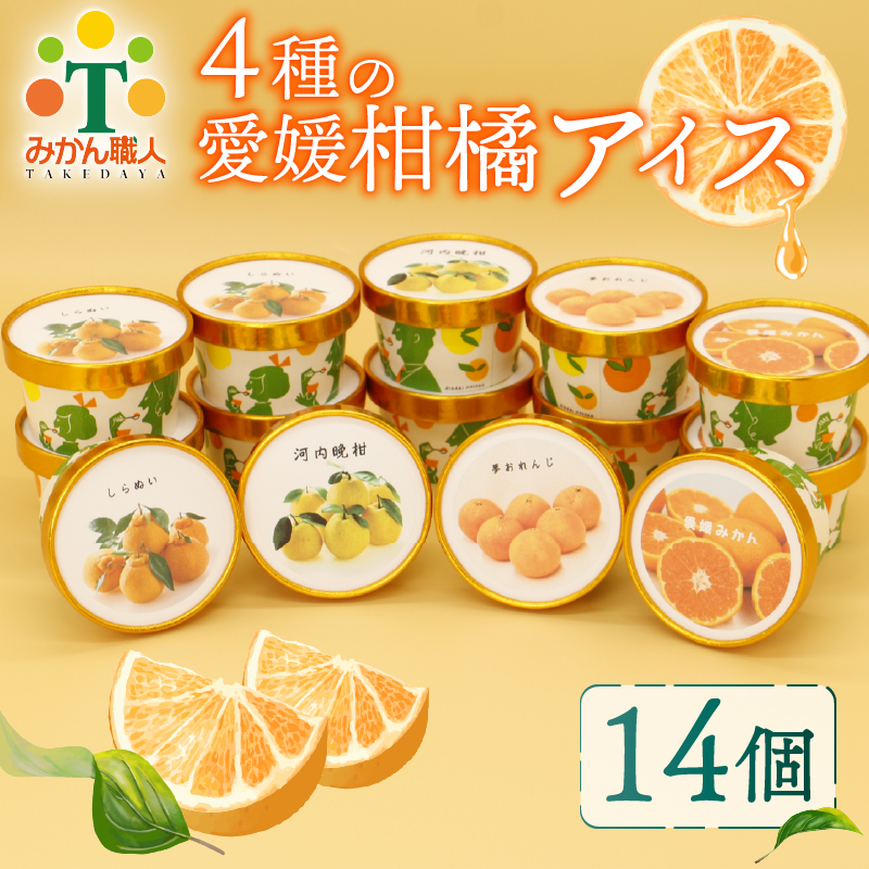 柑橘 カップ アイス 14個 (4種) 【 夢オレンジ 河内晩柑 愛媛みかん
