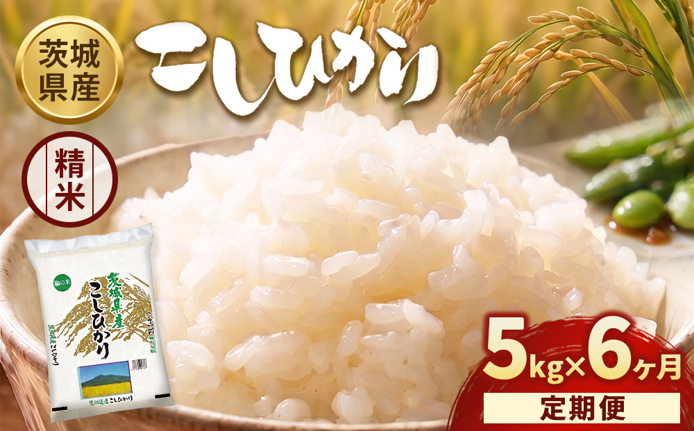 定期便6ヶ月】【令和8年産】茨城コシヒカリ 5kg×1袋【精米】 | お米 米