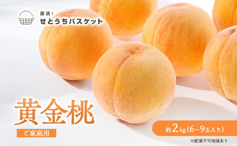 桃 2027年 先行予約 岡山 黄金桃 ご家庭用 約2kg 6～9玉入り もも モモ