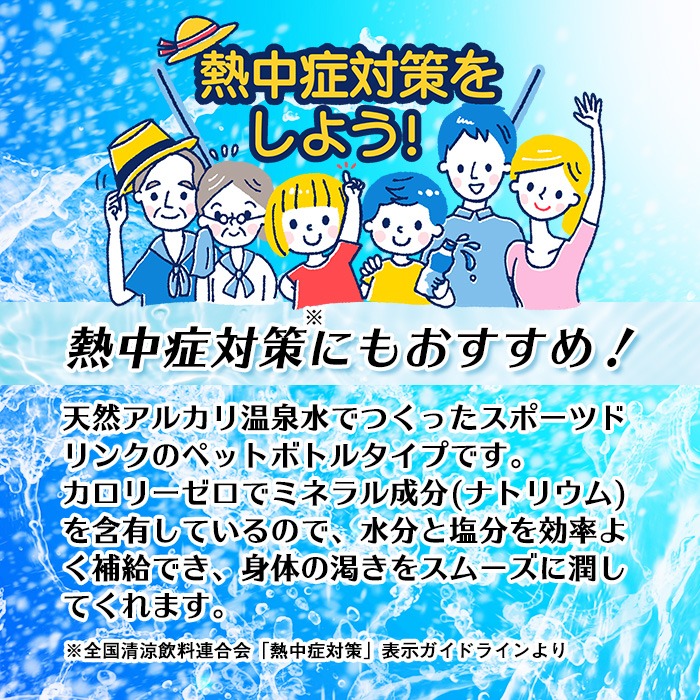isa656 スポーツドリンク 500ml 48本 スポゼロ ペットボトル