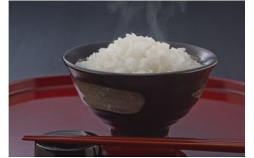 新米】令和8年産 近江米 コシヒカリ 白米【10kg（5kg×2袋）】【V012W2