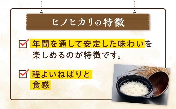 糸島産 ヒノヒカリ 20kg 糸島市 / 平山農園 米 白米 米 白米 ご飯 お米