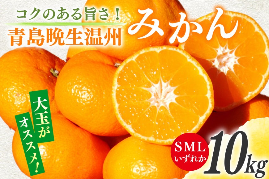 ご予約商品・2025年1月中旬よりご発送】青島みかんPrincess