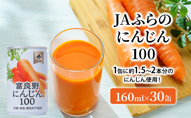 JAふらの 人参ジュース ［富良野にんじん100］(160ml×30缶セット