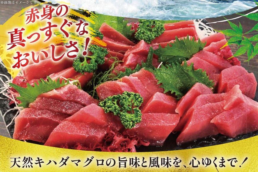 マグロ 天然 まぐろ 赤身 サク 4袋 計1.2kg [大長増田商店 静岡県 吉田