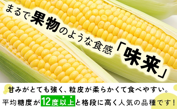 先行予約＞【2026年発送】北海道産 とうもろこし 味来 L?LLサイズ 20本