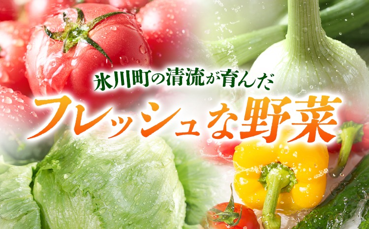 6ヶ月定期便】旬の野菜・果物詰め合わせセット 10-15品 氷川町産 道の