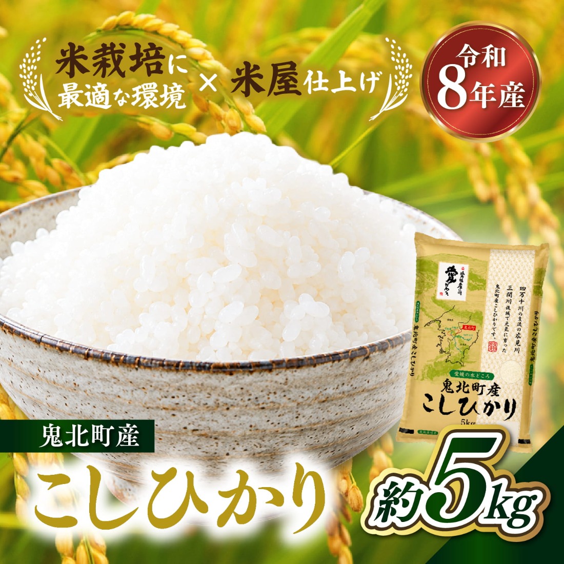 先行予約】【令和8年産】鬼北町産 こしひかり 5kg 【米屋仕上げ】| R8