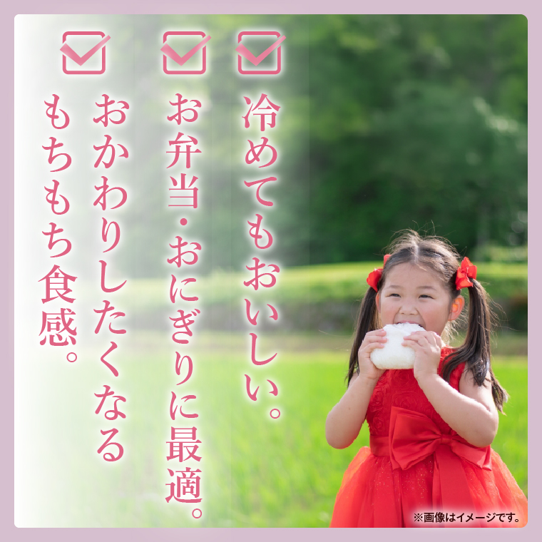 ふるさと納税 【人気2銘柄食べ比べ】令和7年産 茨城県産 コシヒカリ 