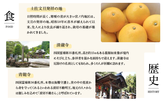 訳あり】 平戸にんにく 約2kg 乾燥 ニンニク 平戸にんにく 訳アリ わけ