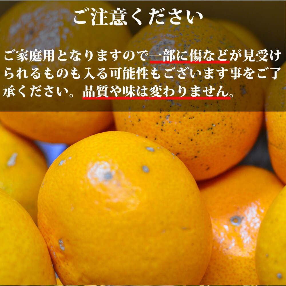 2026年先行予約】（訳あり 家庭用）濃厚な味わいのこだわり 有田みかん