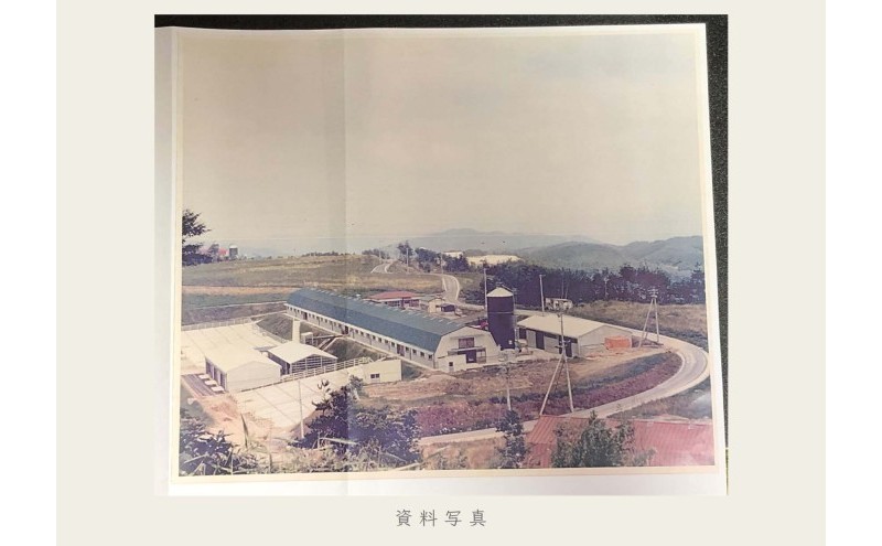 油絵で高級感のある風景画を描きます（53×45cm）（福岡県大刀洗町