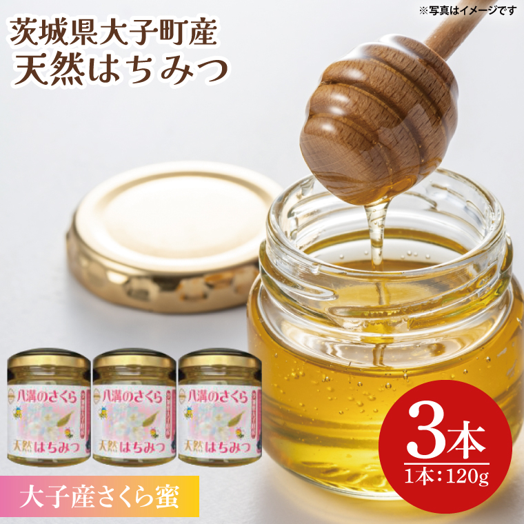 2026年10月～2027年4月発送】天然はちみつ【大子のさくら蜜 120g×3本