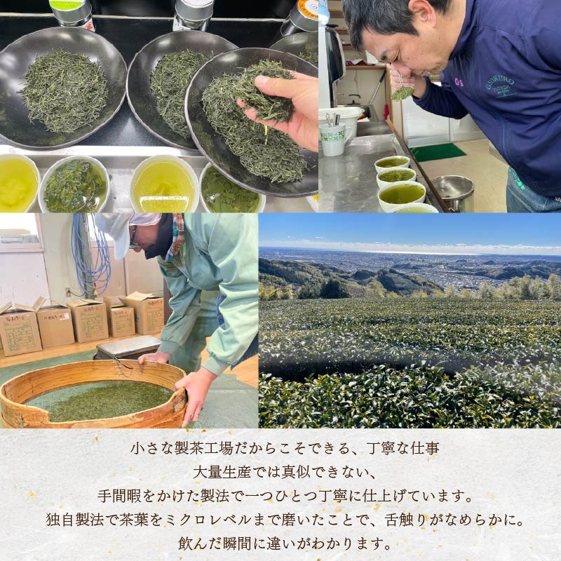 ペットボトル まごころ製茶 350ml 16本 セット お茶 藤枝茶 緑茶 日本