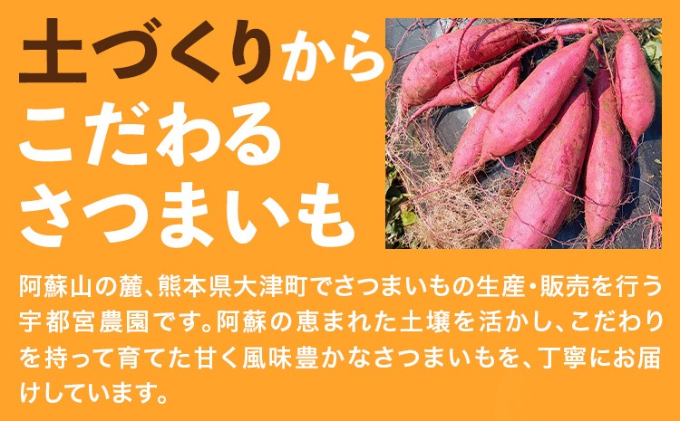 熟成 さつまいも 紅はるか 3kg 5kg S～2L 宇都宮農園《11月上旬-3月末