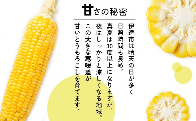 先行予約＞【2026年発送】北海道産 とうもろこし 味来 L?LLサイズ 20本