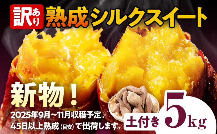 兵庫県産さつまいも シルクスイート 【規格外LL-L】3ヶ月以上熟成 甘熟蜜いも 約5kg シルクスイート・紅はるか等 さつまいも