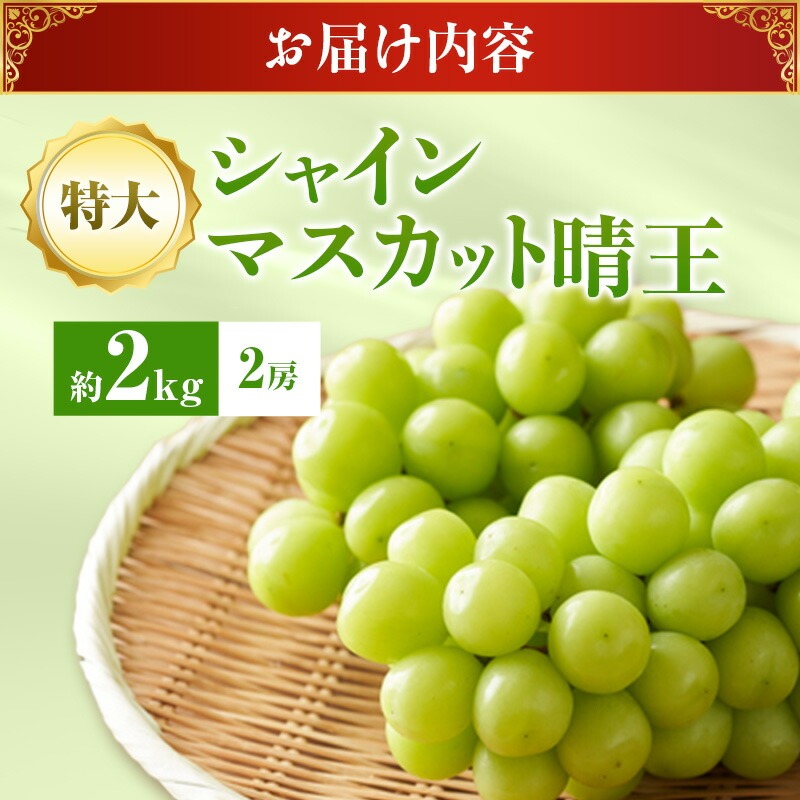 2026年先行受付】 シャインマスカット 晴王 秀品 特大 約2kg 2房 岡山