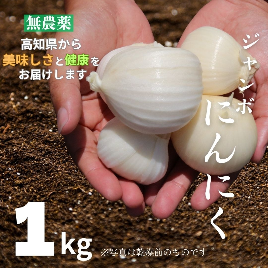 農協のんちゃんジャンボ 農協のんちゃんジャンボ 2025年最新】農協 のんちゃんの人気