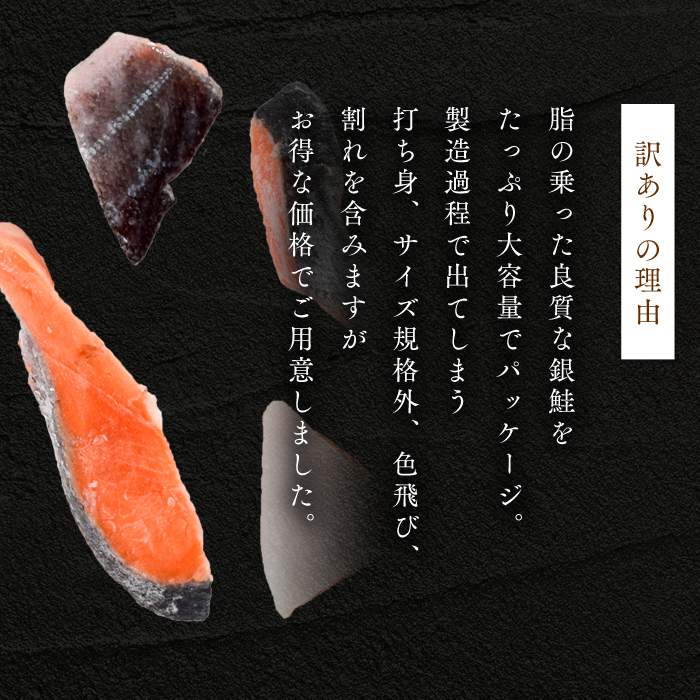 しゃけページ 10kg 訳あり 塩サケ 訳あり 塩銀鮭 切り身 1kg サケ しゃけ 銀シャケ 規格外 おかず