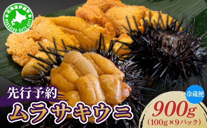 先行予約＞ 北海道産 ムラサキウニ（正規品）900g【ogm-038】生うに