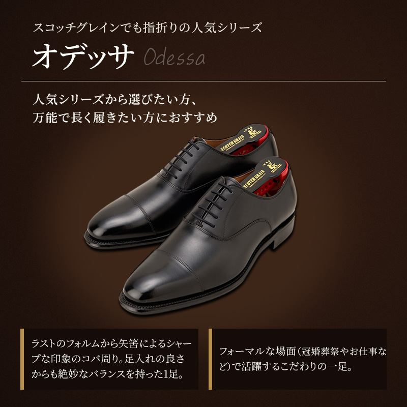 SCOTCH GRAIN ビジネスシューズ 革靴 25 スコッチグレイン ビジネスシューズ メンズ オデッサ 916 ストレート