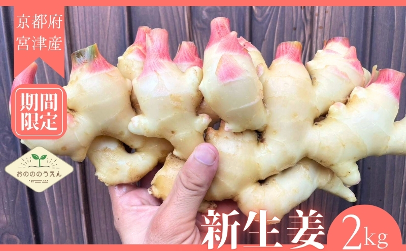 2026年発送分予約】京都府産 新生姜 2kg 栽培期間中 農薬 化学肥料