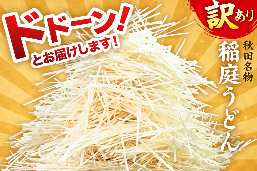 定期便10ヶ月》稲庭古来堂 訳あり 非常に短い麺含む 稲庭うどん 800g×2
