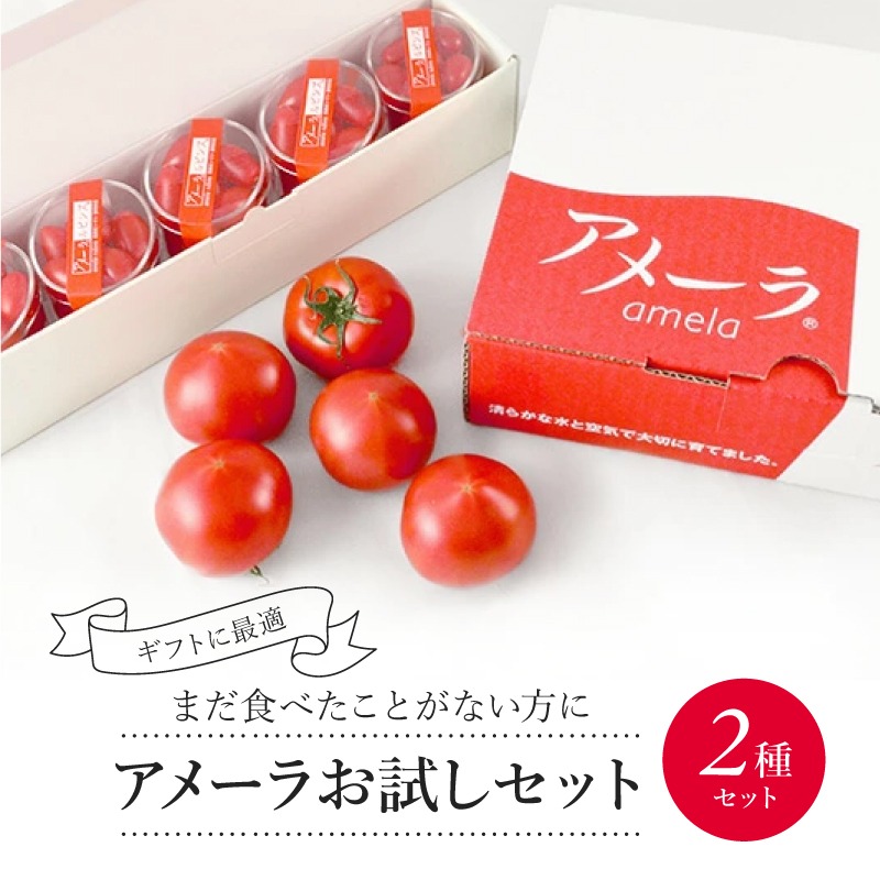 先行予約】アメーラ トマト ミニトマト 5パック セット