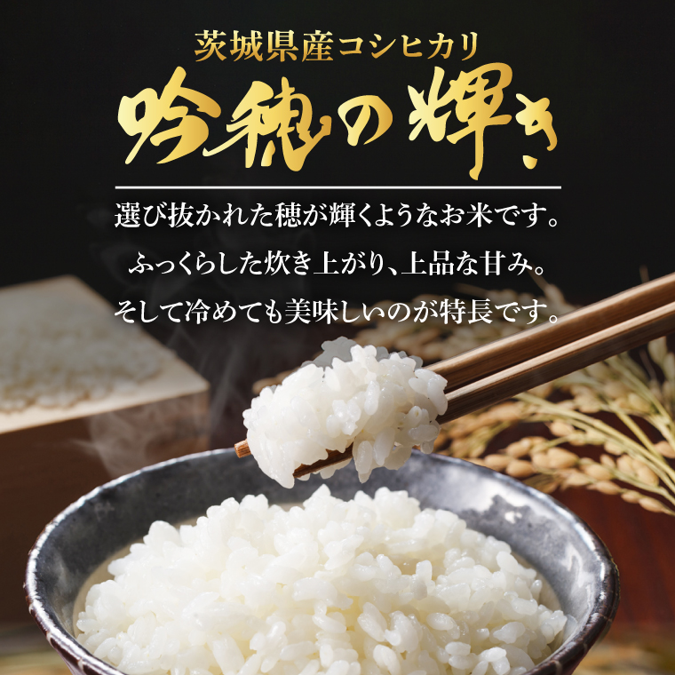 令和8年産 ＞新米無洗米 こしひかり 30kg（5kg×6袋）（茨城県産）精米