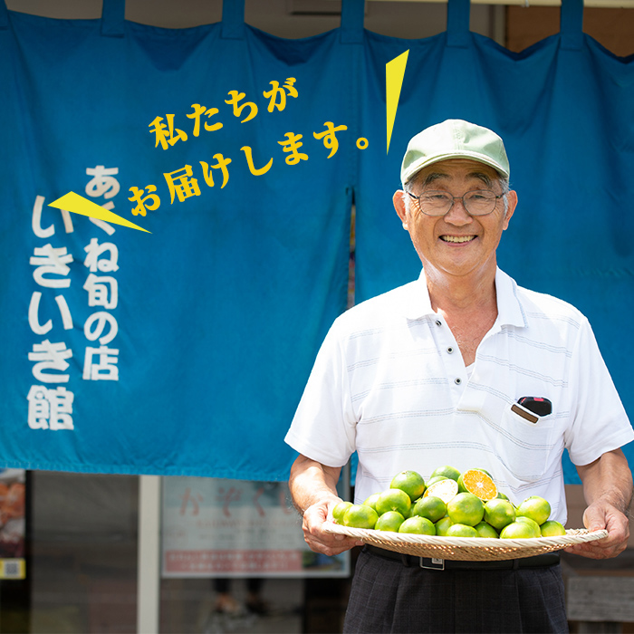 真空パックたけのこ(約1.5kg・500g×3P) 国産 野菜 たけのこ タケノコ