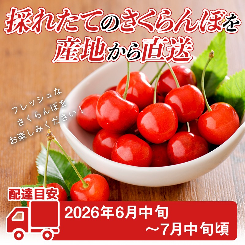 FYN6-535 ≪2026年先行予約≫ご家庭用 山形県産 さくらんぼ 品種