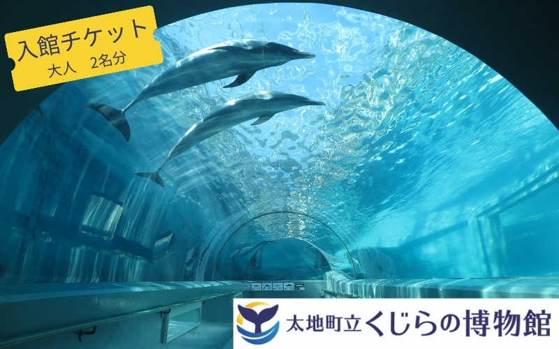 太地町立くじら博物館 入館チケット大人2名分/チケット 入館券 博物館