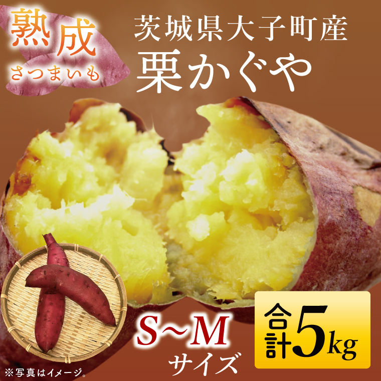 先行予約】熟成さつまいも 栗かぐや 5kg【10月中旬より順次発送予定