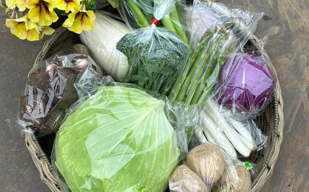159-2024-02 【冷蔵便】季節のこだわり野菜セット 野菜詰め合わせ（春
