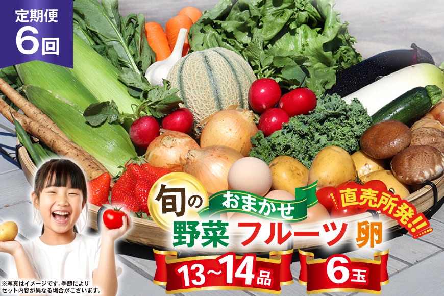 CH113 【6回定期便】 野菜・フルーツ・卵 旬のおまかせセット （野菜