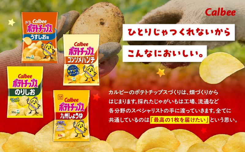 選べる食べ比べ！＞カルビーポテトチップス2種食べ比べセット（通常