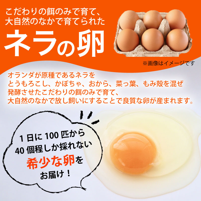 産地直送】旬のお野菜詰め合わせ 京野菜セット8種類 平飼い卵 6個付き
