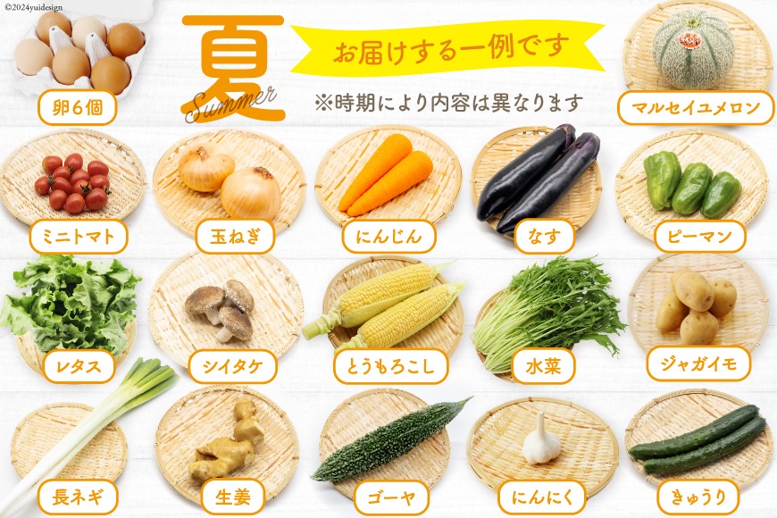 くぅは様 野菜セット果物追加 BA025 野菜・フルーツ・卵 旬のおまかせセット （野菜・フルーツ