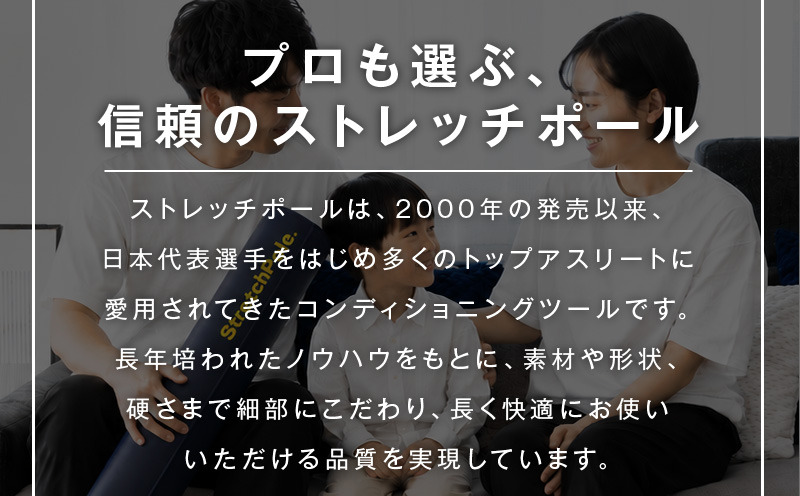 100F076 【LPN社製】ストレッチポールEX ネイビー 2本セット【正規品